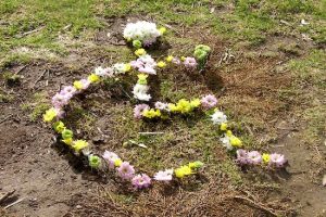 Wheelchair symbol made of daisies, marking one year since John Duthie's spinal cord injury